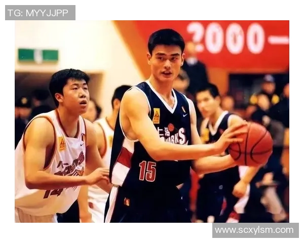 驻马店姚明的篮球梦想与人生旅程：从小城镇走向世界舞台的传奇故事