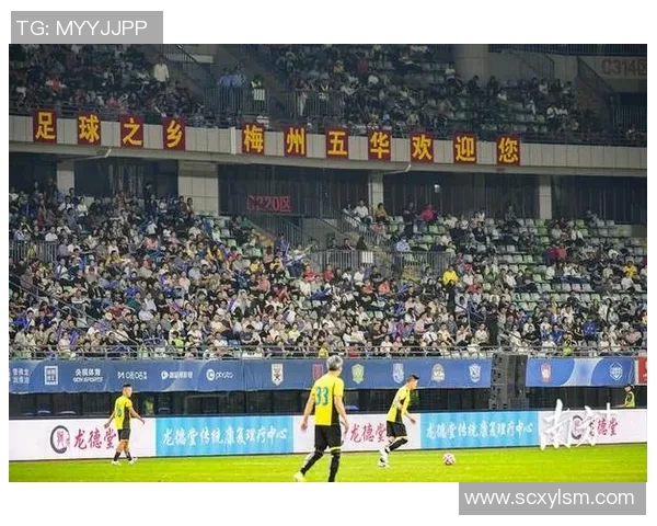 足球明星虚假宣传引发粉丝失望的真实案例分析与反思